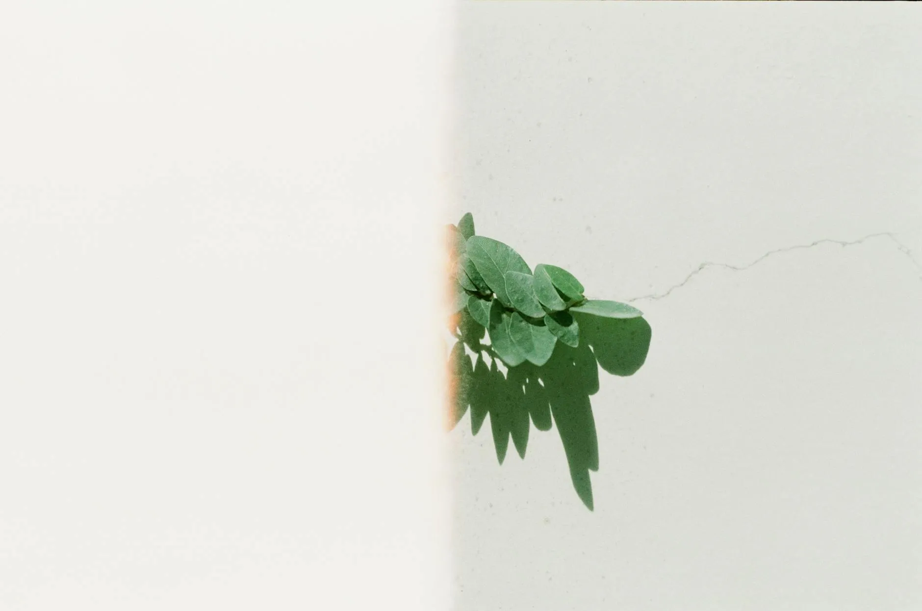 Soft out-of-focus background photograph